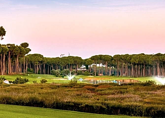 About Caryagolf M Min