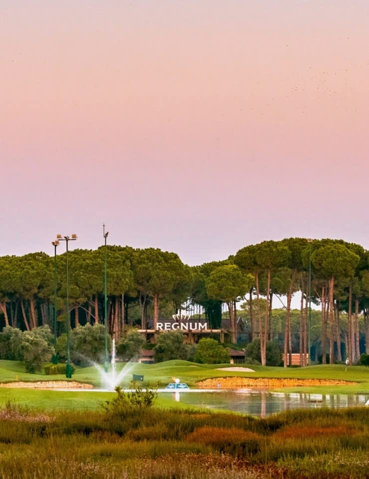 About Caryagolf Min