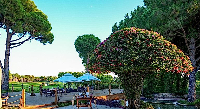 Regnumcarya Carya Golf Club 50